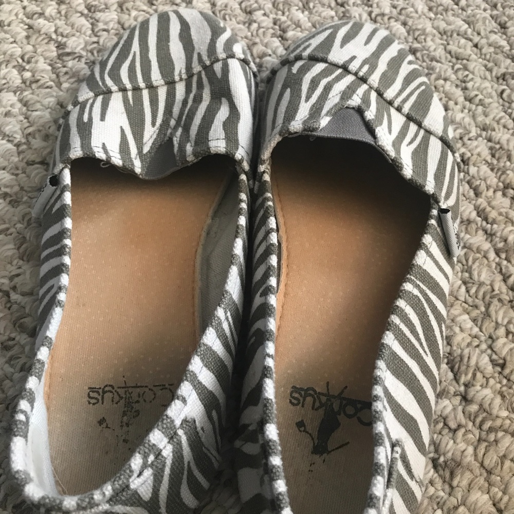 Shies